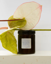 Load image into Gallery viewer, Lemongrass &amp; Eucalyptus Candle
